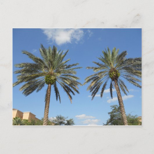 Twin Palm Trees Briefkaart (Voorkant)