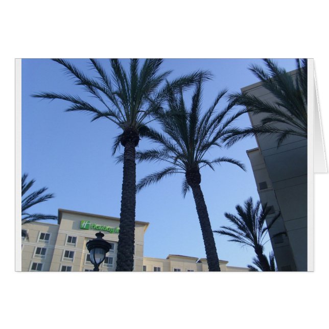 Twin Palms California Vakantie (Voorkant Horizontaal)