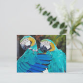 Twin Parrott-Briefkaart Briefkaart (Staand voorkant)