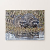 Twin Raccoons Legpuzzel (Horizontaal)