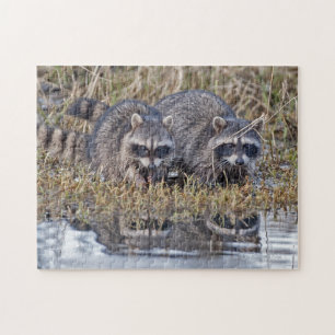 Twin Raccoons Legpuzzel