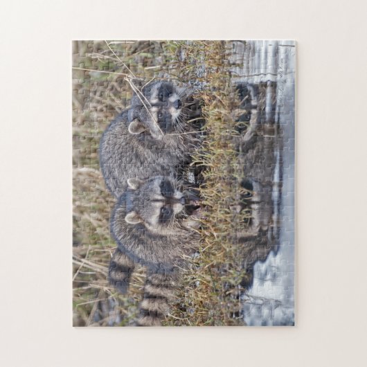 Twin Raccoons Legpuzzel (Verticaal)