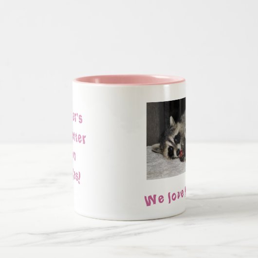 Twin Raccoons - Mok (Center)