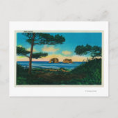 Twin Rocks on Oregon Coast Briefkaart (Voorkant)