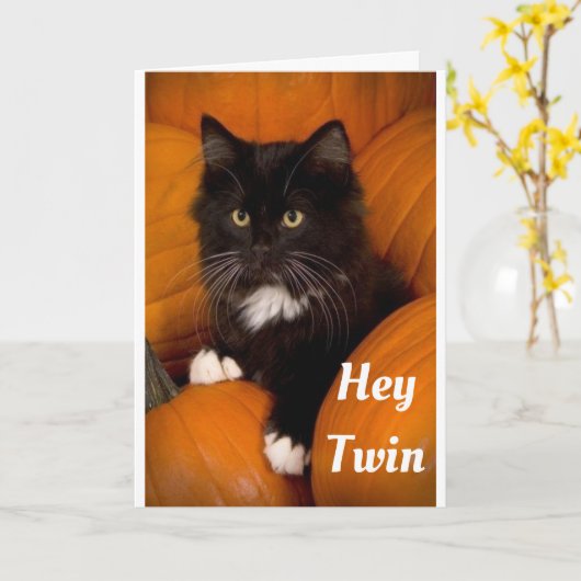 **TWIN** SCHATTIGEE "BLACK CAT" VOOR JOU "HAPPY BI KAART (Gele Bloem)