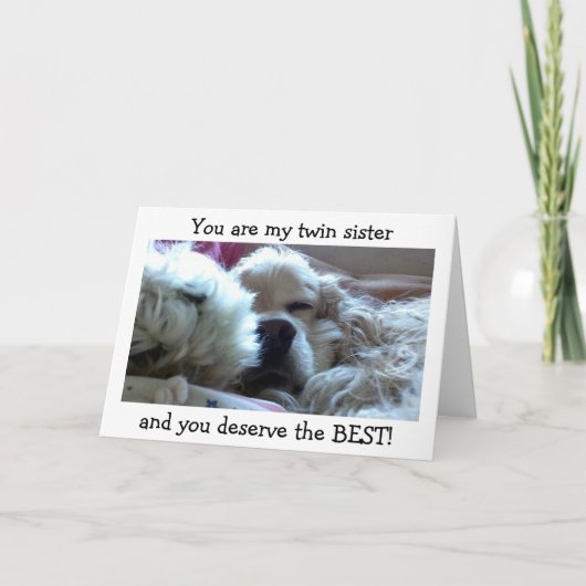 TWIN SIS = VERDIEN HET BESTE OP VERJAARDAG = IK AL KAART (Voorkant)
