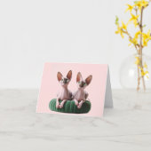 Twin Sphynx elke gelegenheid Wenskaart Kaart (Gele Bloem)