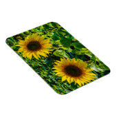 Twin Sunflower Magneet (Rechterzijde)