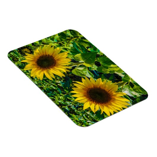 Twin Sunflower Magneet (Rechterzijde)