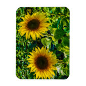 Twin Sunflower Magneet (Verticaal)