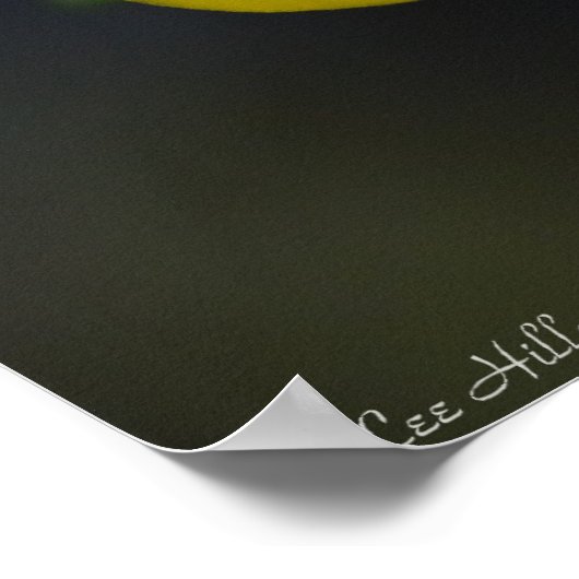 "Twin Suns" Geel Foxglove Wildflower Poster (Hoek)