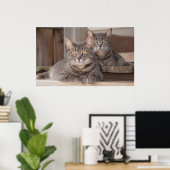 Twin Tabbies Chillin' Poster (Thuiskantoor)