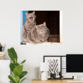 Twin Tabbies Poster (Thuiskantoor)