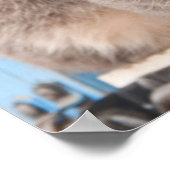 Twin Tabbies Poster (Hoek)