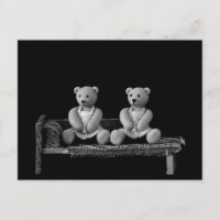Twin Teddy Bears