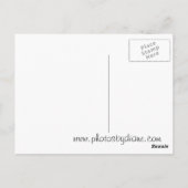 Twin Towers Briefkaart (Achterkant)