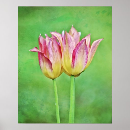 Twin Tulip Bloemen Paar Fotografische Art Print (Voorkant)