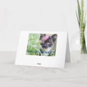 Twin Tuxedo Kittens Verjaardag Kaart (Achterkant)