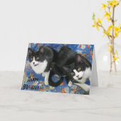 Twin Tuxedo Kittens Verjaardag Kaart (Gele Bloem)