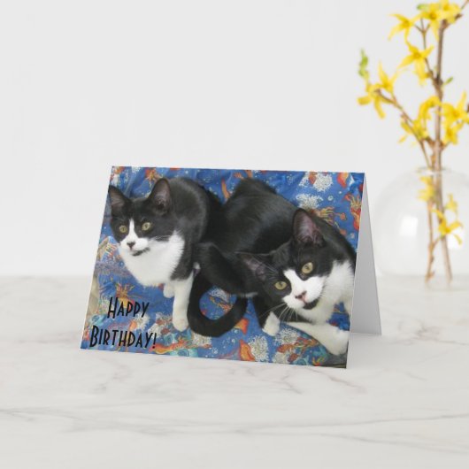 Twin Tuxedo Kittens Verjaardag Kaart (Gele Bloem)