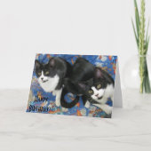 Twin Tuxedo Kittens Verjaardag Kaart (Voorkant)
