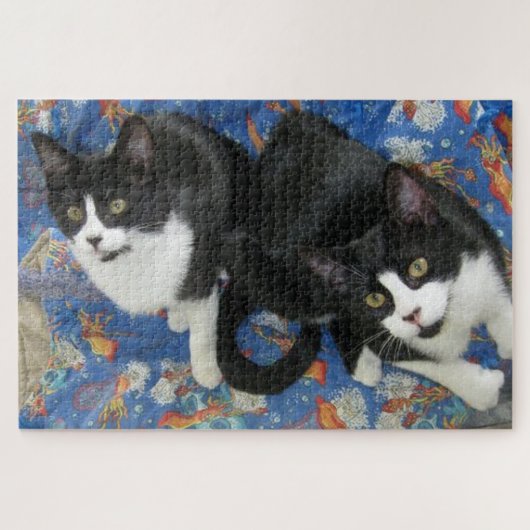 Twin Tuxedo Kitties Legpuzzel (Horizontaal)
