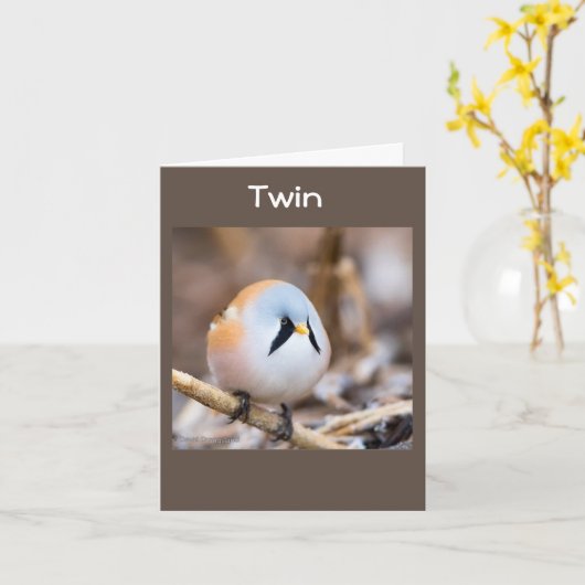 **TWIN** TWEEMAAL HOOGSTE KAART OP DE TWEEDE DAG (Gele Bloem)