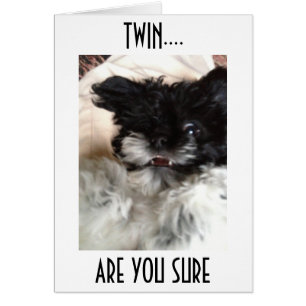 **TWIN**VEROORDEELDE HAVENS KUNNEN NIET BEHOOREN D