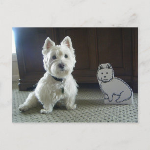 Twin Westies Photo Briefkaart