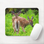 Twin White Tail Deer Fawns Muismat (Met muis)