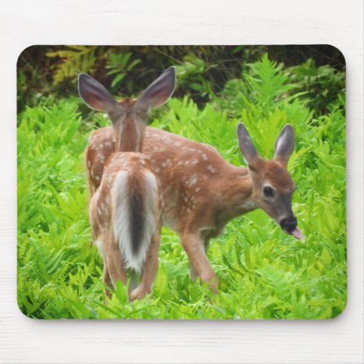 Twin White Tail Deer Fawns Muismat (Voorkant)