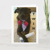 TWIN WIL ZEGGEN DAT ZICHZELF VERDAG EN GEWELD! KAART (Voorkant)