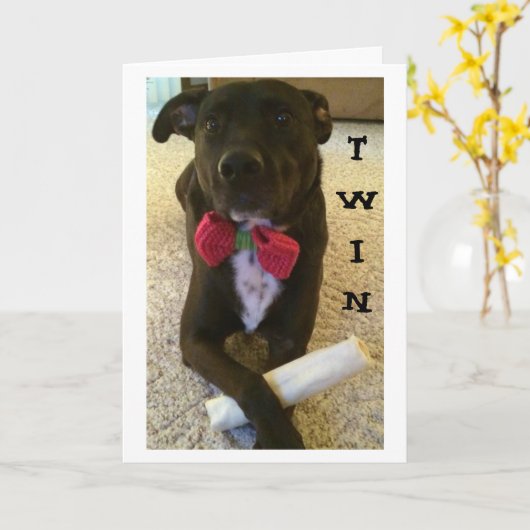 TWIN WIL ZEGGEN DAT ZICHZELF VERDAG EN GEWELD! KAART (Gele Bloem)