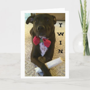 TWIN WIL ZEGGEN DAT ZICHZELF VERDAG EN GEWELD! KAART