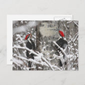 Twin Woodpeckers - Briefkaart (Voorkant / Achterkant)