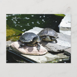 Twindenergie - briefkaart