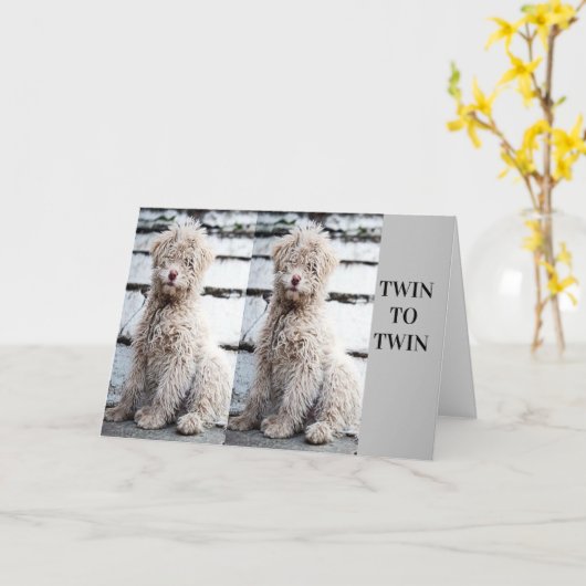 * * * TWINE BROER OF TWEEMAAL ZISTER * * ZWAARDAG KAART (Gele Bloem)