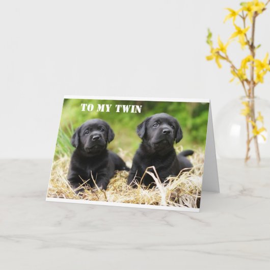 * * * TWINE BROER OF TWEEMAAL ZISTER * * ZWANGDAG KAART (Gele Bloem)