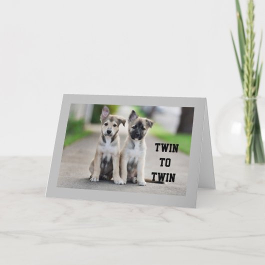 * * * TWINE BROER OF TWEEMAAL ZISTER * * ZWANGDAG  KAART (Voorkant)