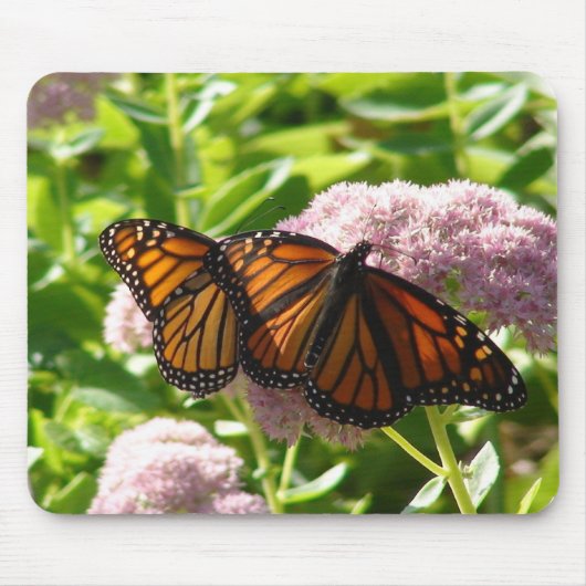 TWINE BUTTERFLIES MUISMAT (Voorkant)