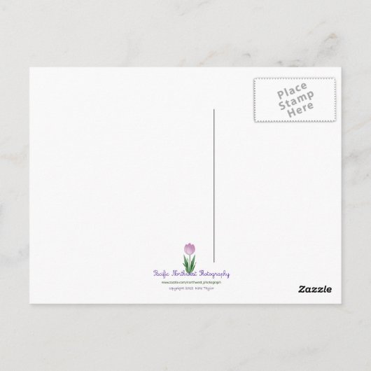 TWINESTERS BRIEFKAART (Achterkant)