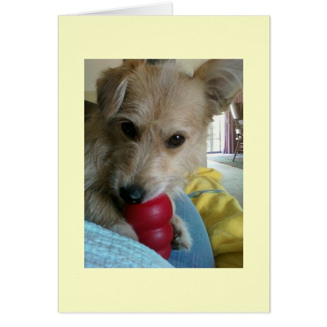 Twinkie the Wonder Dog (Voorkant)