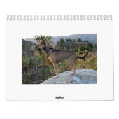 Twinkie's academische agenda van 2011 kalender (Achterkant)