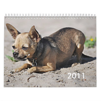 Twinkie's academische agenda van 2011 kalender