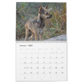 Twinkie's academische agenda van 2011 kalender (Jan 2027)
