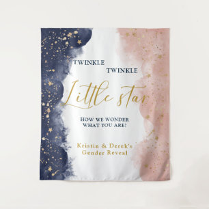 Twinkle Gender Reveal Achtergrond, Marine & Roze Wandkleed