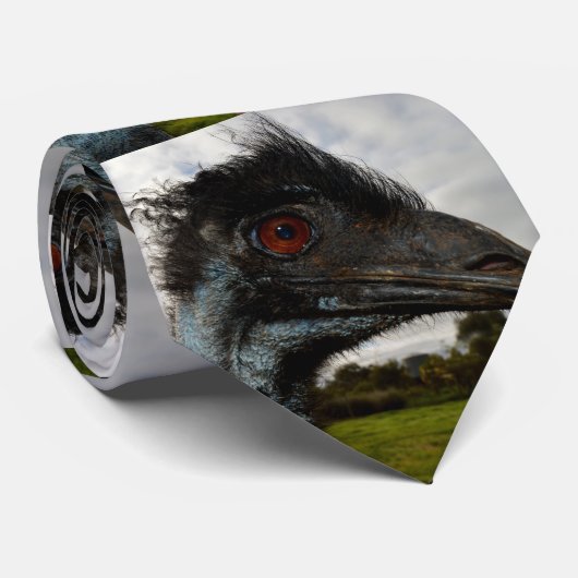 Twinkle in the eye: de nieuwsgierige blik van de E Stropdas (Opgerold)