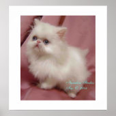 TWINKLE KLEINE STAR POSTER (Voorkant)