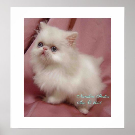 TWINKLE KLEINE STAR POSTER (Voorkant)