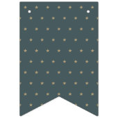 Twinkle Little Star Baby shower Bunting Flags Vlaggetjes (Eerste vlag)